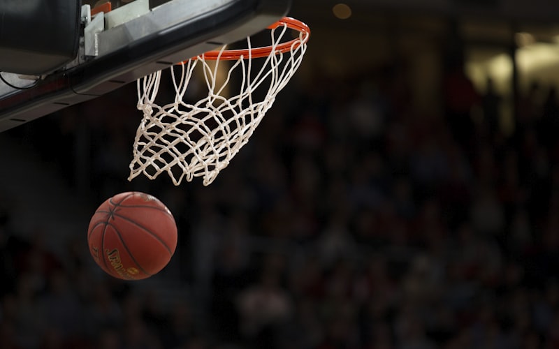 NBA美国职业篮球联赛标志